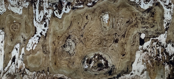 Autumn Cream Translucent