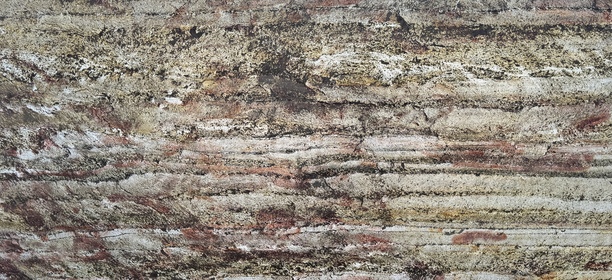 Forest Fire Translucent